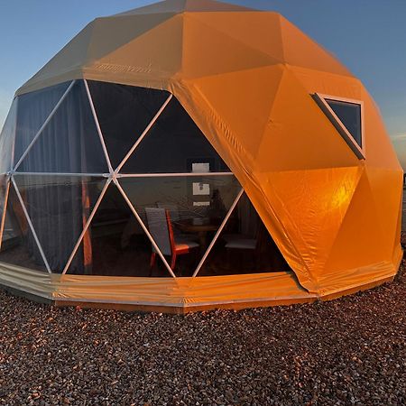 Villa Nude Glamping Dome à Willcox Extérieur photo
